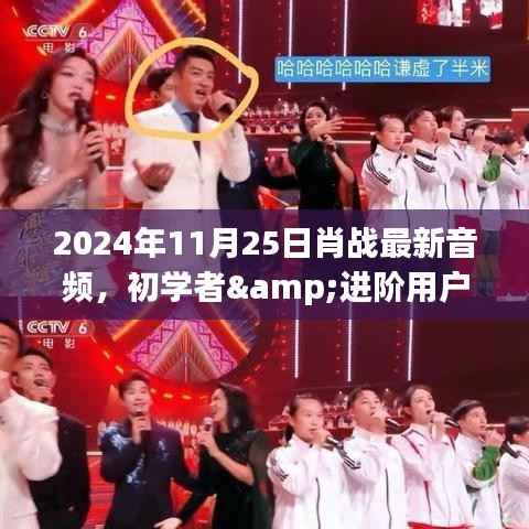 肖战最新音频全攻略,初学者与进阶用户必备指南(2024年11月25日版)