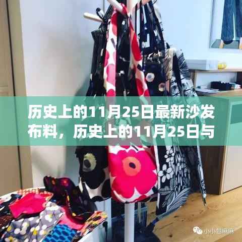 历史上的11月25日最新沙发布料,历史上的11月25日与沙发布料革新,一场深度探讨