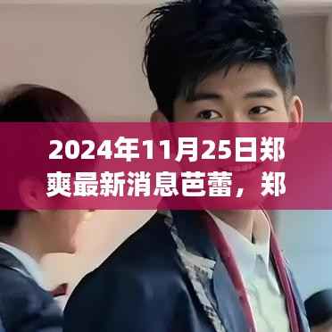 郑爽最新芭蕾动态,多元解读下的芭蕾之光(2024年11月25日)