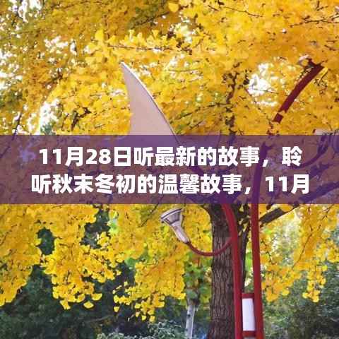 秋末冬初的温馨故事,揭秘11月28日的秘密