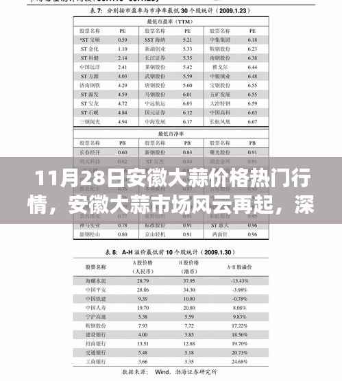 安徽大蒜市场风云再起,价格走势深度解读与行情热议