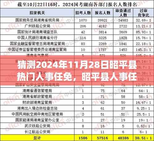 昭平县人事变动预测，2024年11月28日人事任免指南及变动趋势分析