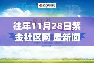 往年11月28日紫金社区网 最新闻,紫金社区网最新闻回顾,11月28日的独特印记与影响