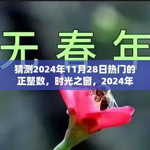 时光之窗,揭秘2024年11月28日热门正整数与神秘数字魔法,友情加持的魔力时刻