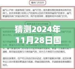 深度解读，预测2024年疫情政策走向，未来疫情通知展望与解读