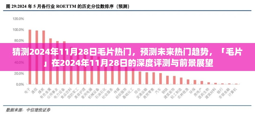 2024年11月28日毛片热门趋势预测及深度评测,展望美好未来