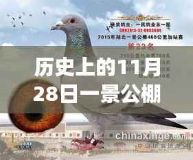 一景公棚11月28日重磅公告,高科技产品革新揭示未来科技生活新篇章