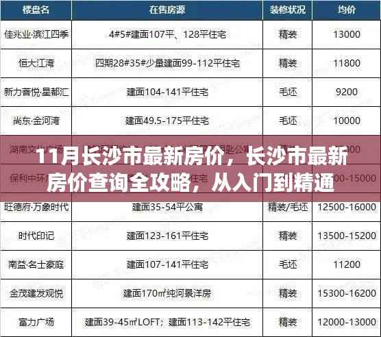 长沙市最新房价指南,从入门到精通,11月房价查询全攻略