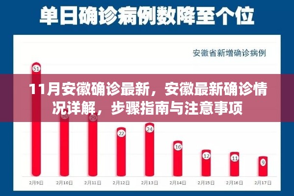 安徽最新确诊情况详解,步骤指南与注意事项(11月版)