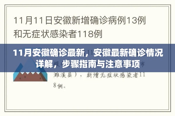 安徽最新确诊情况详解,步骤指南与注意事项(11月版)