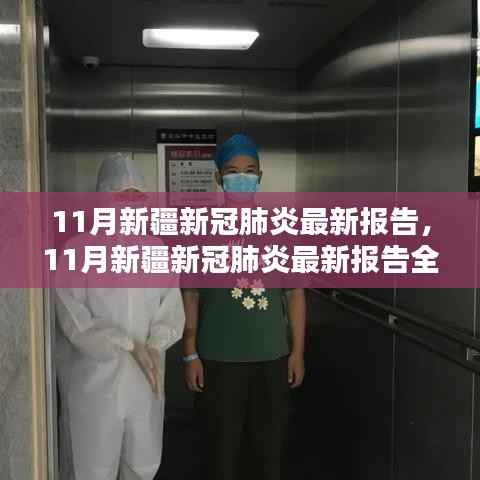 新疆新冠肺炎最新报告全面评测与介绍(11月更新)