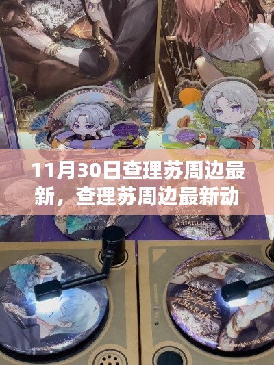 11月30日查理苏周边最新,查理苏周边最新动态,深度解析与观点阐述