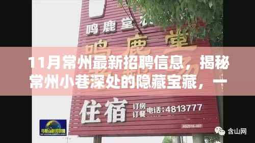 11月常州最新招聘信息,揭秘常州小巷深处的隐藏宝藏,一家特色小店的惊喜招聘信息