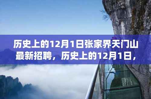 揭秘,张家界天门山历史上的12月1日最新招聘及其背后故事