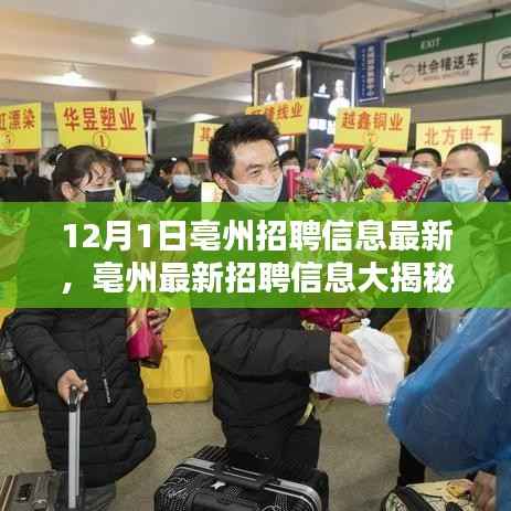 亳州最新招聘信息揭秘,12月1日全新职位等你来挑战!