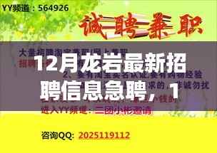 12月龙岩急聘招聘信息,职场精英的黄金机会
