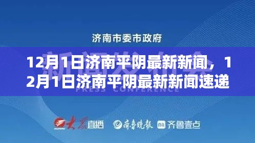 济南平阴最新新闻速递(12月1日)