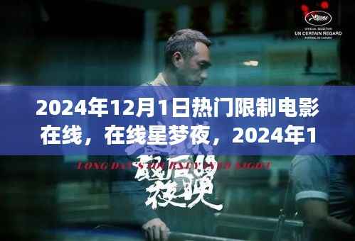 2024年电影之夜，热门限制电影在线观看与星梦夜的盛宴