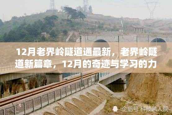 老界岭隧道新进展,自信与成就并行不悖,学习力量铸就12月奇迹