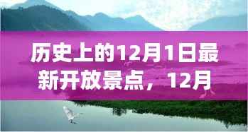 12月1日新景点开启，家庭温馨之旅的历史瞬间