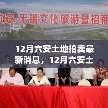 12月六安土地拍卖市场掀起新篇章,最新消息与动态解读