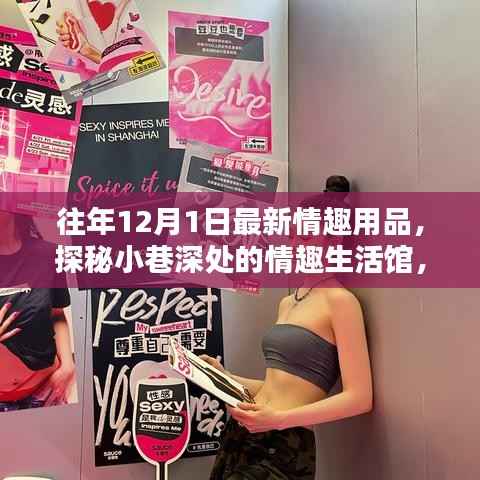 探秘小巷深处的情趣生活馆，揭秘最新情趣用品潮流盛宴