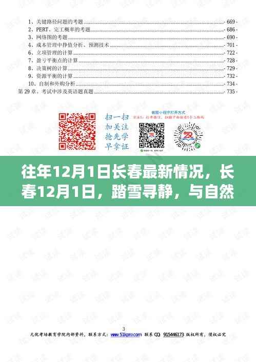 长春踏雪寻静日,12月1日的自然共舞纪实