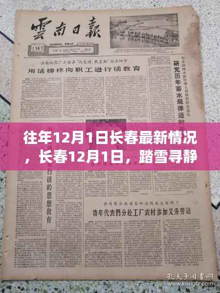 长春踏雪寻静日,12月1日的自然共舞纪实