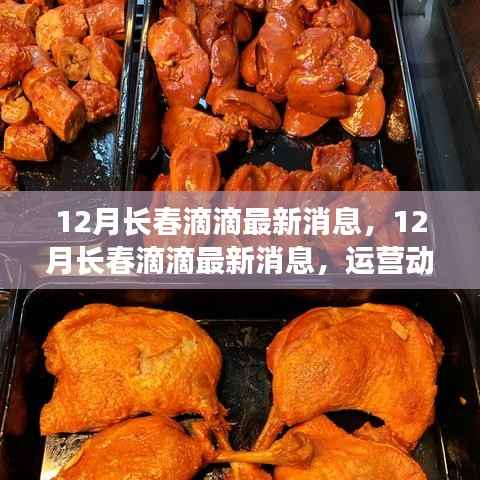 12月长春滴滴最新消息,运营动态、政策解读及市场展望