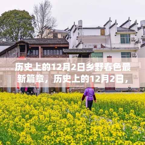 历史上的12月2日,乡野春色的新篇章及其多元解读与反思