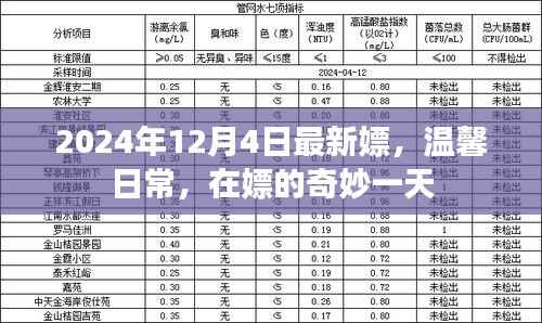 温馨日常与奇妙一天,探索嫖的奇妙世界(2024年12月4日最新)