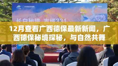 广西德保秘境探秘,与自然共舞,寻找心灵的宁静港湾——最新新闻报道