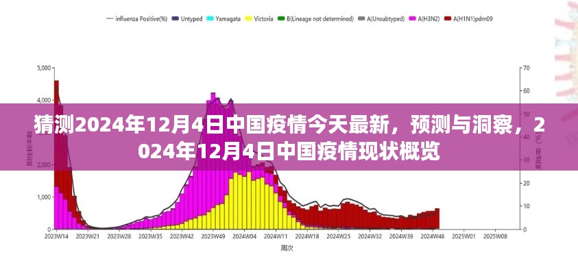 猜测2024年12月4日中国疫情今天最新,预测与洞察,2024年12月4日中国疫情现状概览