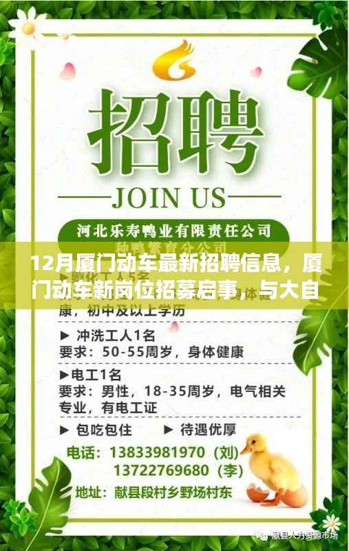 对答如流 第5页