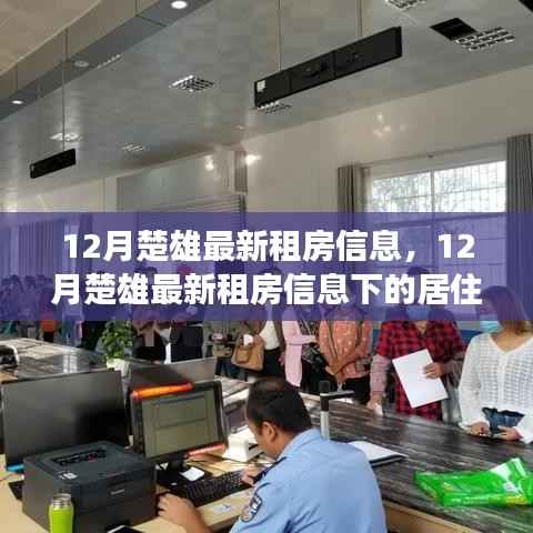 12月楚雄最新租房信息，12月楚雄最新租房信息下的居住选择，深度分析与个人立场