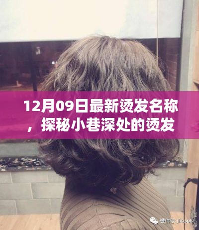 探秘烫发秘境,揭秘十二月最新潮流烫发名称