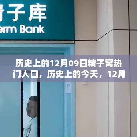 历史上的今天，精子窝孕育出热门人口之星，励志之光照亮学习之路的奇迹日（12月09日）