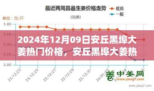2024年12月9日安丘黑埠大姜热门价格行情分析