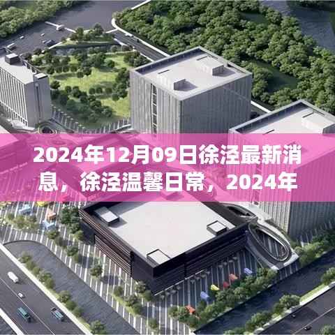 徐泾温馨日常,趣事与友情的最新篇章(2024年12月09日)