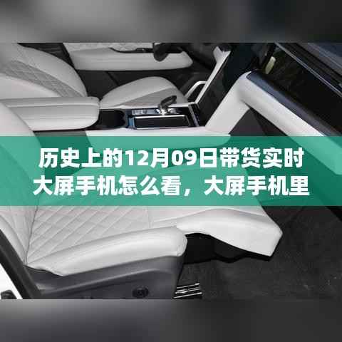 虫言鸟迹 第2页