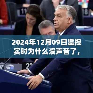 声如洪钟 第4页