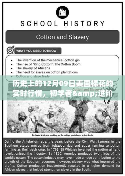历史上的12月09日美国棉花实时行情详解与指导步骤,适合初学者与进阶用户参考