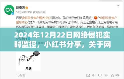 小红书分享,网络侵犯实时监控与应对策略