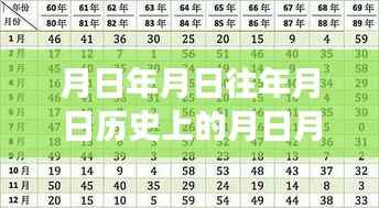 月日月年的奇妙探索与时光旅者的友情翻译，实时翻译器评价与实时历史月日翻译猜测