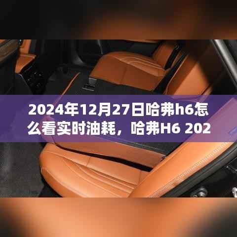 哈弗H6 2024款实时油耗监测系统深度体验与评测,实时油耗查看详解