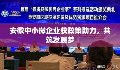 安徽中小微企业获政策助力,共筑发展梦