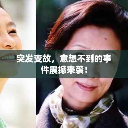 寥若晨星 第3页