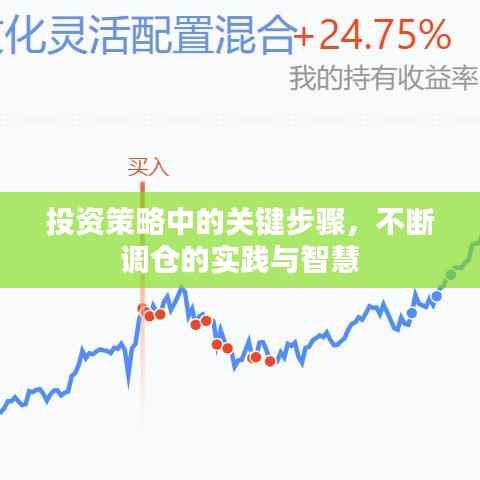 投资策略中的关键步骤，不断调仓的实践与智慧