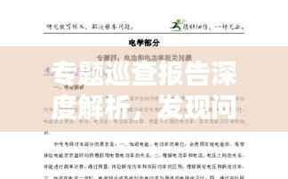 专题巡查报告深度解析,发现问题与解决方案的综合呈现