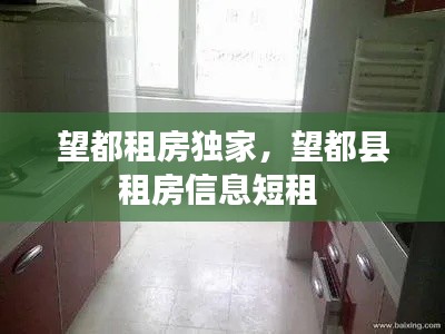 望都租房独家，望都县租房信息短租 